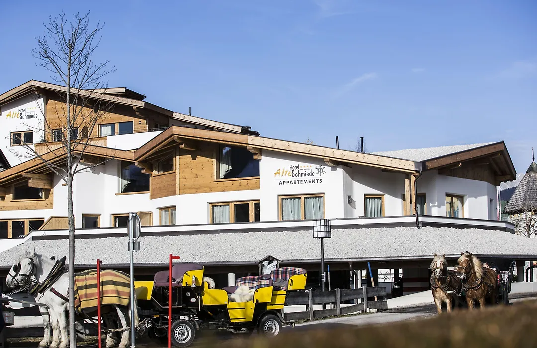 Alte Schmiede Hiltpolt-1